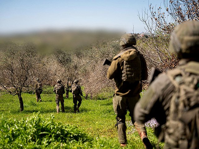 מבצע צה"ל בדרום לבנון: חיסול לוחמי "חיזבאללה"