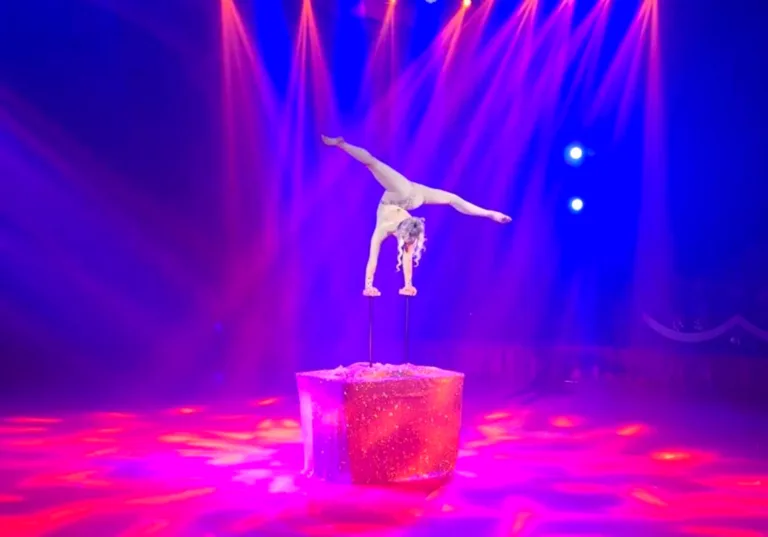 בבגדד התחילה מופע קרקס חדש "עולים לשמים"