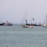 Доклад о сексуальных домогательствах на «Флотилии Сумуд»