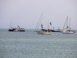 Доклад о сексуальных домогательствах на «Флотилии Сумуд»